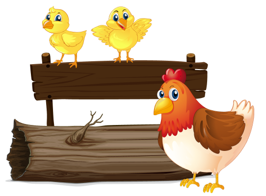 Leaderboard rankings